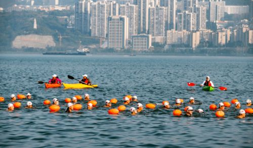 万客来游 这场国际旅游盛会团团不希望您错过