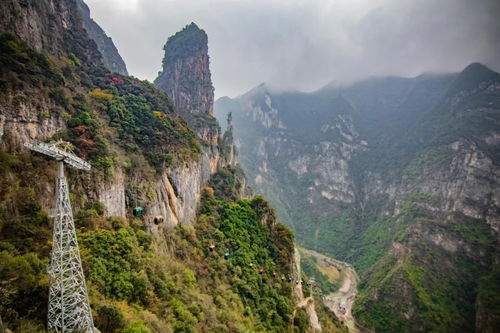 醉美三峡旅行季,赏巫山红叶,和第一场雪来一次美丽的邂逅