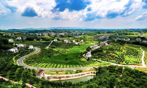 双晒 忠县专场10月26日来袭,县长带你游美景购特产