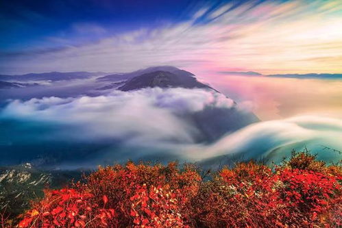 奉节文旅高质量融合发展5年内游客数量旅游收入持续增长,致力打造长江三峡国际黄金旅游带核心区和世界级旅游目的地