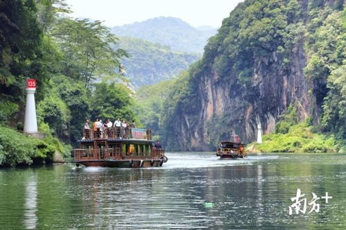 连州水晶梨采摘季开启广东农旅精品盛宴,你打卡了吗