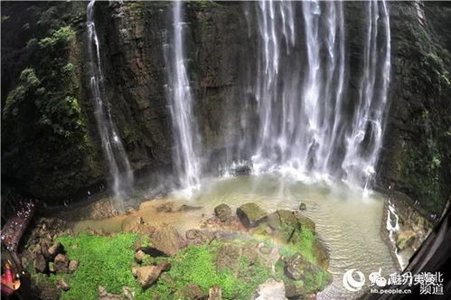 人民网 夏游三峡大瀑布 山水 氧吧 觅清凉