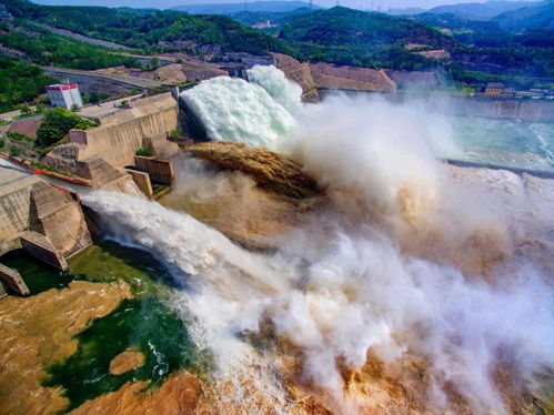 速看 洛阳多项沿黄文旅项目入选河南黄河沿线十大主推产品