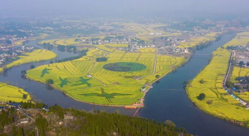 重庆推出81条乡村休闲旅游春季精品线路 邀你感受乡村 慢时光