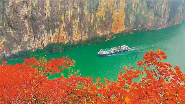 奉节转型,有诗有橙有远方!