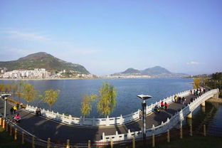 在我们身边,一个全新的经济圈正在强势崛起