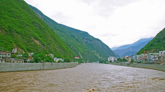 花儿飞出心窝窝