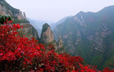 为神女峰买保险?且看三峡旅游一体化如何扬帆远航