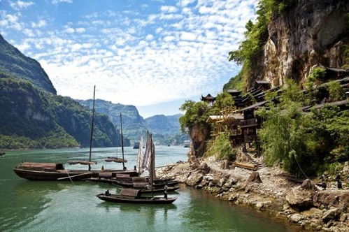 武汉人,您有一份绝美赏秋地图已到账,请注意查收