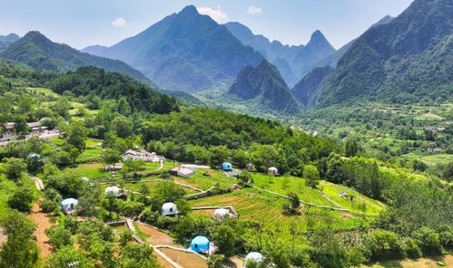 陕甘五县来渝推介文旅 邀重庆游客体验秦岭秘境