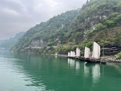 一趟看尽巴山蜀水 三峡大坝, 静安 夷陵号 旅游专列游客大呼过瘾