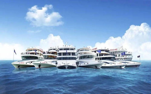 好家伙 宜昌航运企业的牛年大计