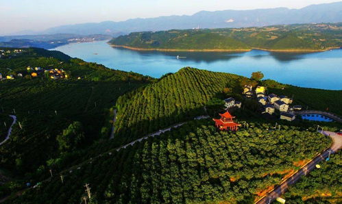 双晒 第二季 10月26日晚8点,看忠县盛装登场