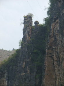 正是春花烂漫日 长江三峡旅行日志之瞿塘峡
