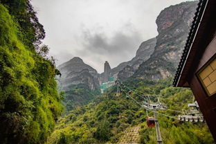 醉美三峡旅行季,赏巫山红叶,和第一场雪来一次美丽的邂逅