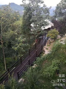 19年暑假川渝湘鄂一路向东17天自由行 下 恩施,凤凰古镇,张家界,清江画廊,三峡 小时