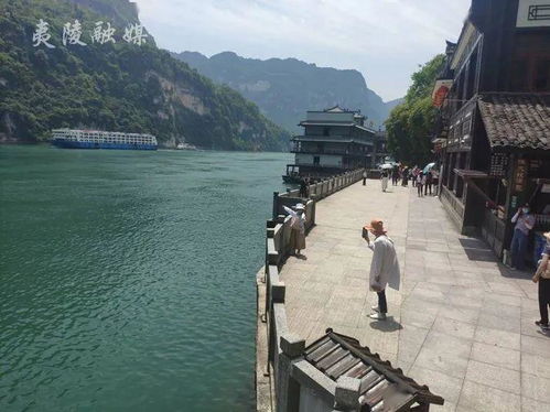 小长假出游,三峡人家是第一站