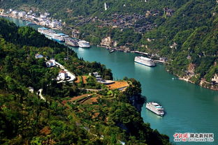 三峡旅游升温，进出川游船增多