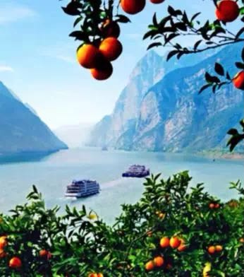 三峡之巅 诗橙奉节 奉节消费扶贫馆将亮相重庆主城，特色山货与旅游相得益彰